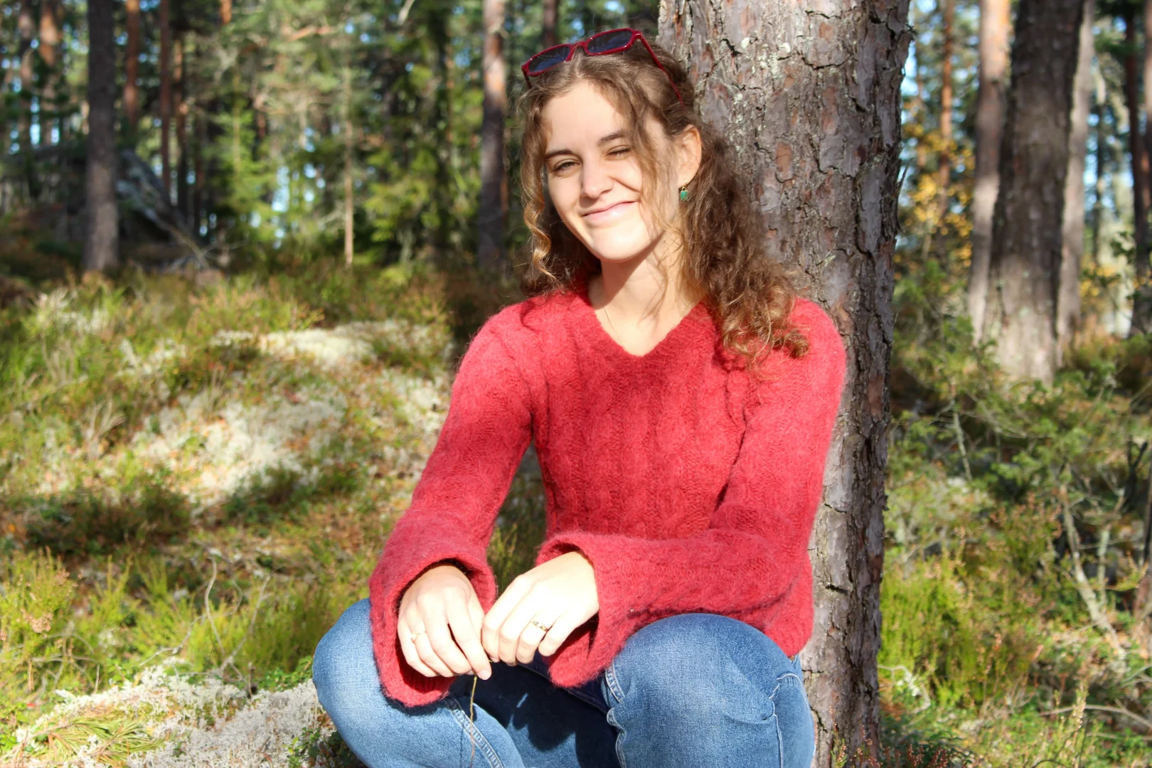 Dekorelement som erstatning for et bilde