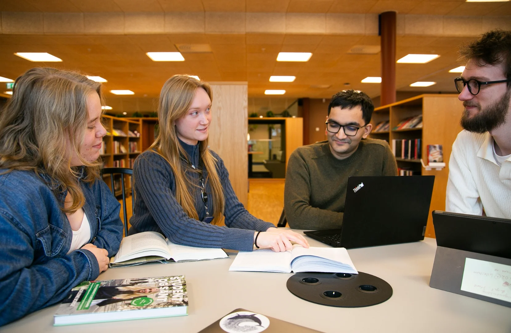 Dekorelement som erstatning for et bilde