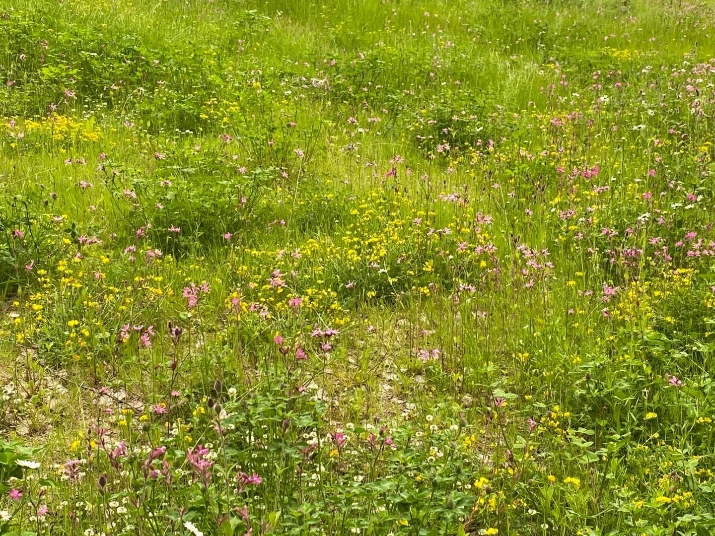 Dekorelement som erstatning for et bilde