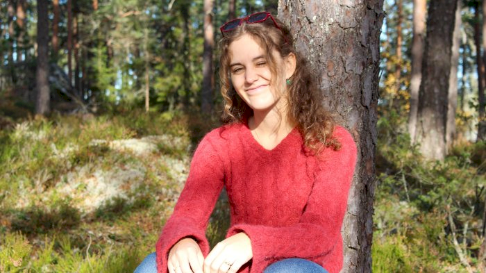 Dekorelement som erstatning for et bilde
